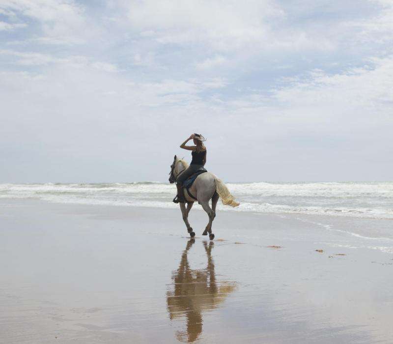 Pousada Capitu - Rider