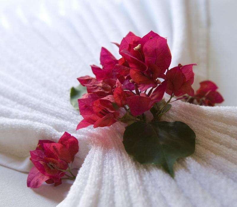 Pousada Capitu - Romantic adventure